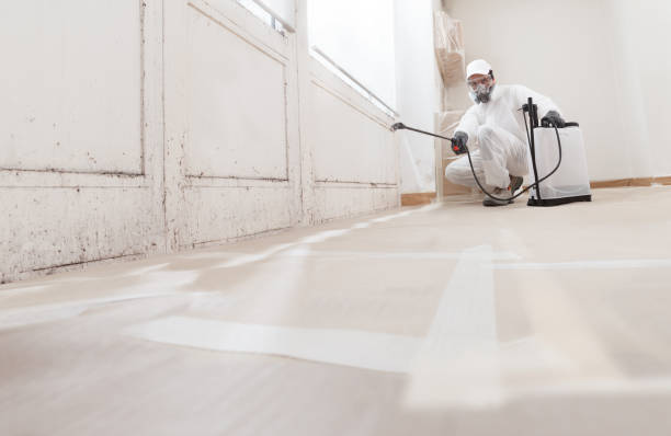 24/7 Emergency Mold Removal experts in Bridgewater, VA